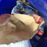Wendy’s - $5 Big Bag, Burger, Nuggets Fries & Drink (3 of them) - Photo 1