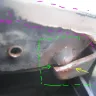 Maaco Franchise - Original paint / warranty / unethical practices - Photo 3