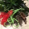 Bloomex - Christmas basket with tropicals