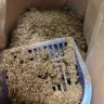 Simply Purrfect - Cat litter