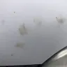 La Rosa Del Monte - Destroyed my vehicle - Photo 2
