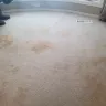 Home Depot - Carpet Cleaning - Photo 4