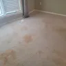 Home Depot - Carpet Cleaning