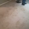 Home Depot - Carpet Cleaning - Photo 3