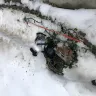 FedEx - FedEx Driver Ran Over and Destroyed Two of My Driveway's Malibu Lights - Photo 1