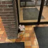 SkipTheDishes - Order 30 mins late, cold, and left in the lobby. - Photo 2