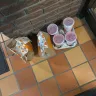 SkipTheDishes - Order 30 mins late, cold, and left in the lobby. - Photo 1