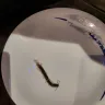 Radisson Hotels - Centipede/insect in food