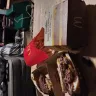 McDonald's - burgers under cooked - Photo 1