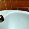 Hungry Jack's Australia - Bathroom issues that regularly occur at Arana Hills, Brisbane Queensland Australia - Photo 3