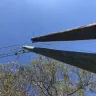 Florida Power & Light [FPL] - Pole removal