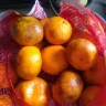 Real Canadian Superstore - Produce ...mandarin oranges