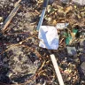 MWEB.co.za - Fibre - Photo 1