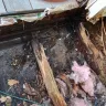 Champion Home Builders - Improper exterior door mounting. Cheap underfloor is pressed product. - Photo 1