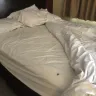 Red Roof Inn - Hotel stay conditions - Photo 5