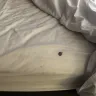 Red Roof Inn - Hotel stay conditions - Photo 1