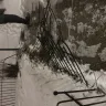 Amazon - Hit-and-run Amazon delivery driver - Photo 1