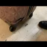 Volaris - Baggage damage