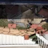 Equity LifeStyle Properties - Inept management - Photo 3