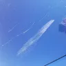 AutoNation - Damage to my car while waiting for warranty service - Photo 4