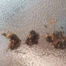 Imperial Tobacco Australia - RiverStone tobacco  - Photo 1