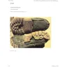 Ecco - Hiking boots - Photo 1