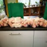 Woolworths - Deli - Photo 1