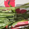 Serenata Flowers - The flowers delivered are not near satisfactory 