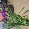 Serenata Flowers - The flowers delivered are not near satisfactory  - Photo 8