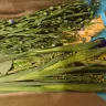 Serenata Flowers - The flowers delivered are not near satisfactory  - Photo 10