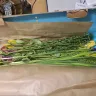 Serenata Flowers - The flowers delivered are not near satisfactory  - Photo 9
