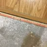 Home Depot - Carpet installation