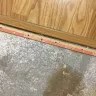 Home Depot - Carpet installation - Photo 2