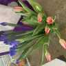 1-800-Flowers.com - Bunches of Love Tulip & Iris Bouquet