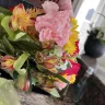 Bloomex - Bloomex flower arrangement purchased online for delivery - Photo 1