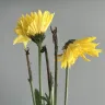 Bloomex - Bloomex flower arrangement purchased online for delivery - Photo 3