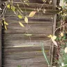 Children's Courtyard Copperfield - Fence maintenance