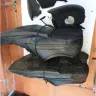 Ecco - Ecco shoes - Photo 1