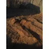 Chop And Drop Tree Service of Virginia Beach - Tree removal - Photo 3