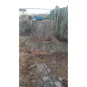 Chop And Drop Tree Service of Virginia Beach - Tree removal - Photo 2