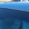General Motors - The factory paint job is defective. - Photo 1