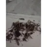Imperial Tobacco Australia - Got rip off - Photo 3