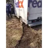 FedEx - Bad Driver - Photo 3
