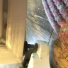 Choice Home Warranty - Failure to repair defective refrigerator - Photo 5