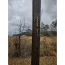 Florida Power & Light [FPL] - Transmission tree line service