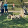 Shell Creek RV Park in Punta Gorda Florida - I am complaining about management bad management - Photo 1