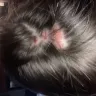 Arizona Medical Board - Plastic surgery - Photo 1
