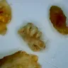 Arizona Medical Board - Plastic surgery - Photo 6