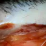 Arizona Medical Board - Plastic surgery - Photo 9