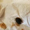 Breyers - Ball of black balled up hair found in the last servings of brewers rocky road ice cream 3/27/22 - Photo 3